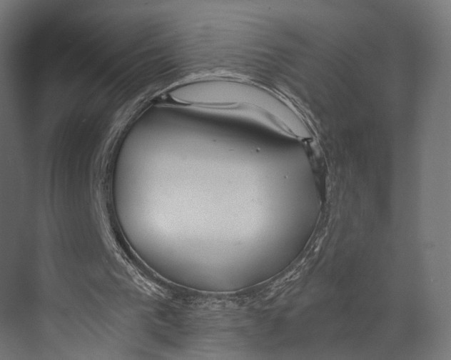 X0000073840193200609071550