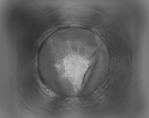 X0000073840194200609071550