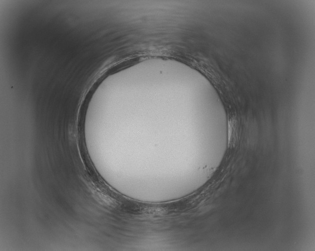 X0000073840195200609071550