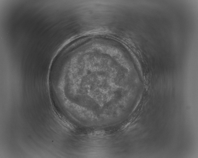 X0000073840196200609071550