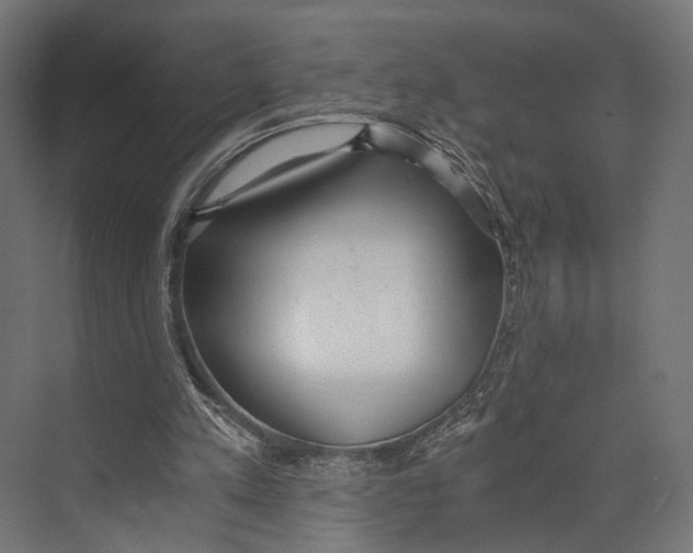 X0000073840197200609071550