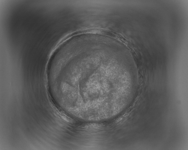 X0000073840198200609071550