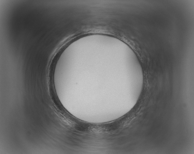 X0000073840199200609071550