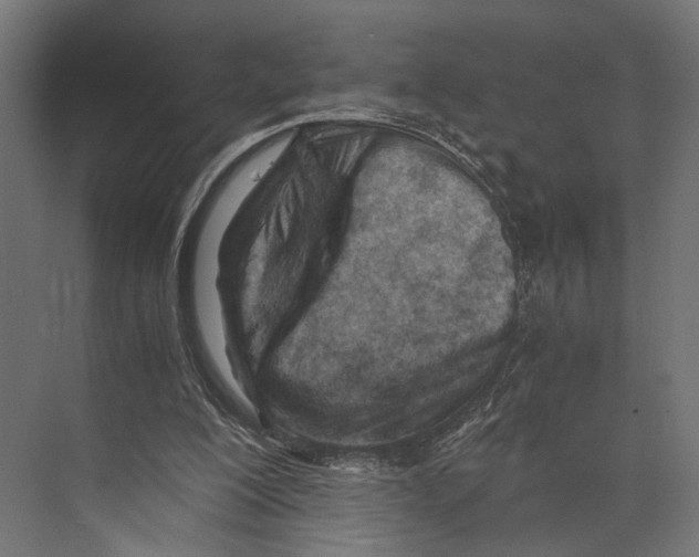 X0000073840200200609071550