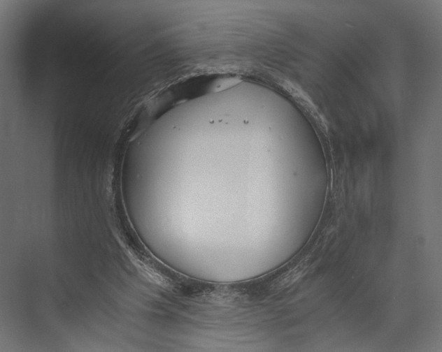 X0000073840201200609071550