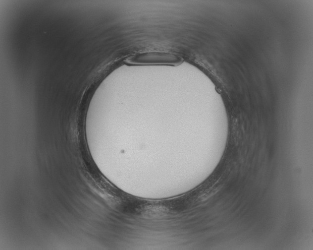 X0000073840203200609071550