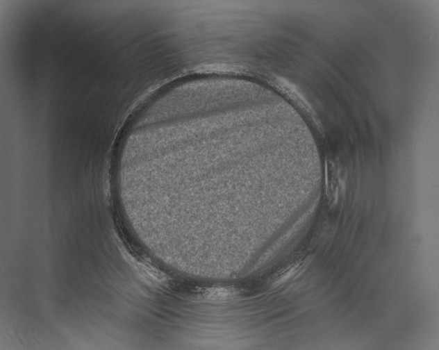 X0000073840204200609071550