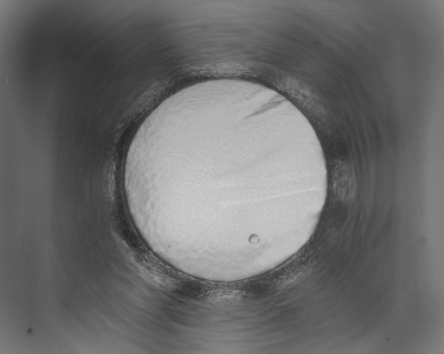 X0000073840206200609071550