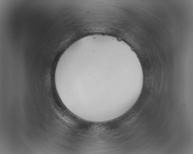 X0000073840207200609071550