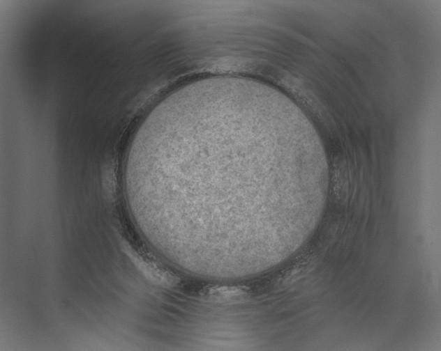 X0000073840208200609071549