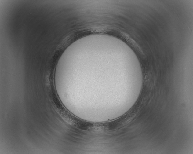 X0000073840209200609071549