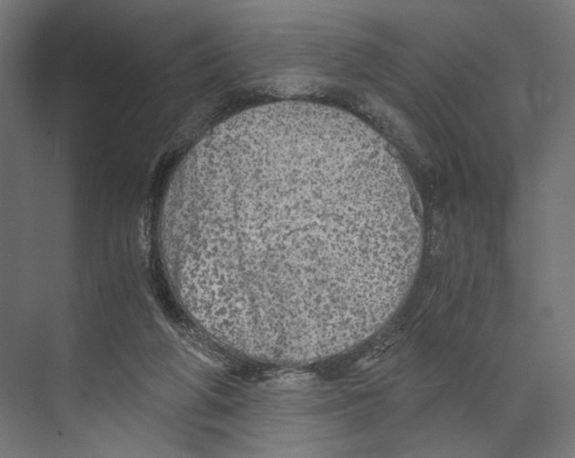 X0000073840210200609071549