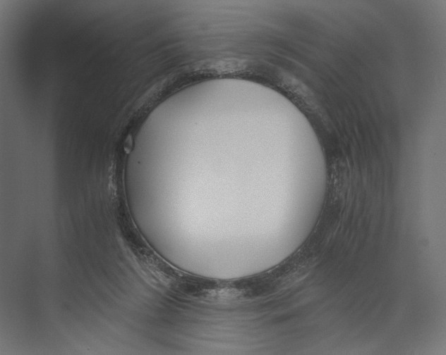 X0000073840212200609071549