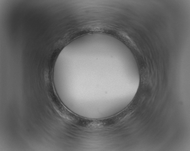 X0000073840213200609071549