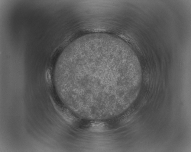 X0000073840214200609071549