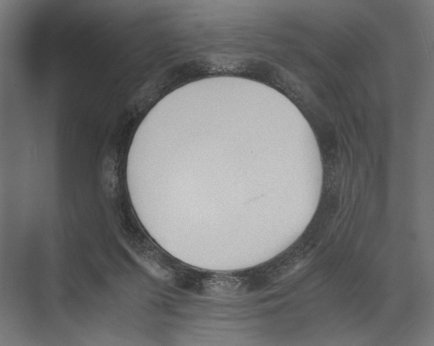 X0000073840215200609071549