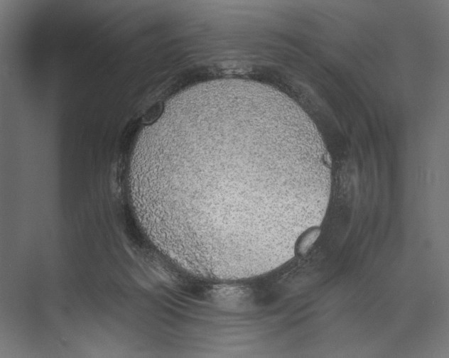 X0000073840218200609071549