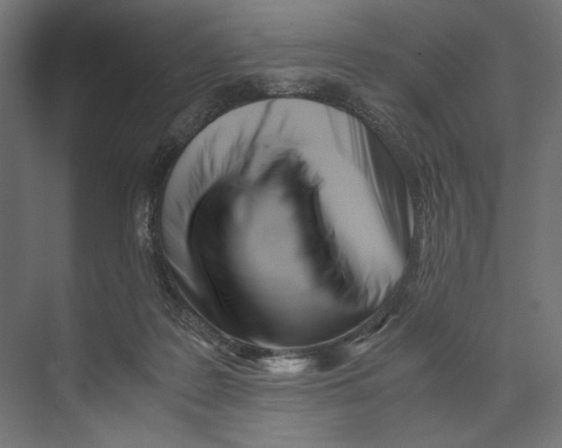 X0000073840219200609071549