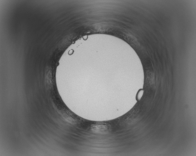 X0000073840220200609071549