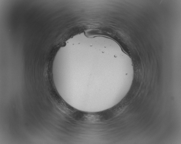 X0000073840221200609071549