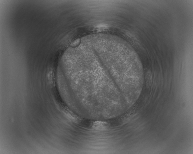 X0000073840222200609071549