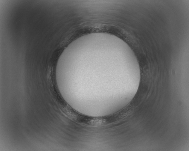 X0000073840225200609071549