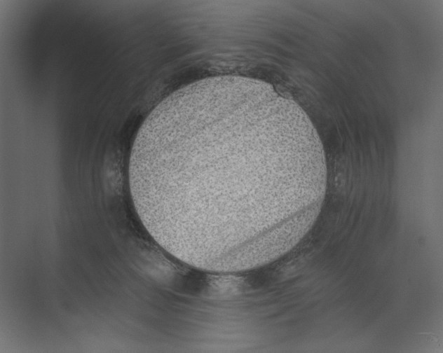 X0000073840226200609071549