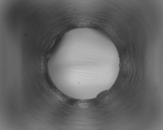 X0000073840228200609071549