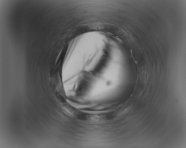 X0000073840229200609071549