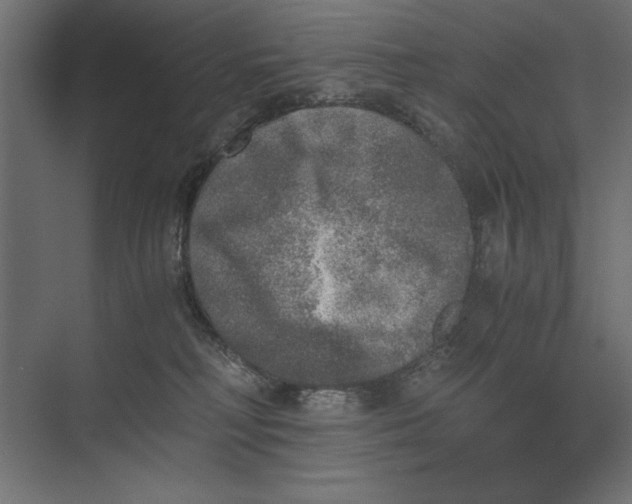 X0000073840230200609071549