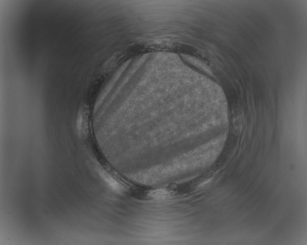 X0000073840231200609071549