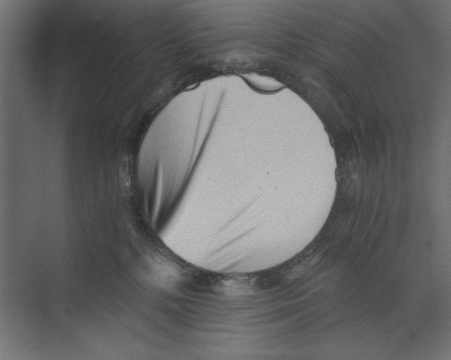 X0000073840232200609071549