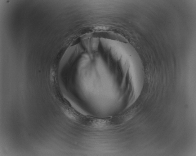 X0000073840235200609071549