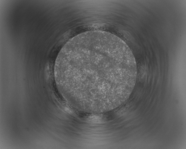 X0000073840236200609071549