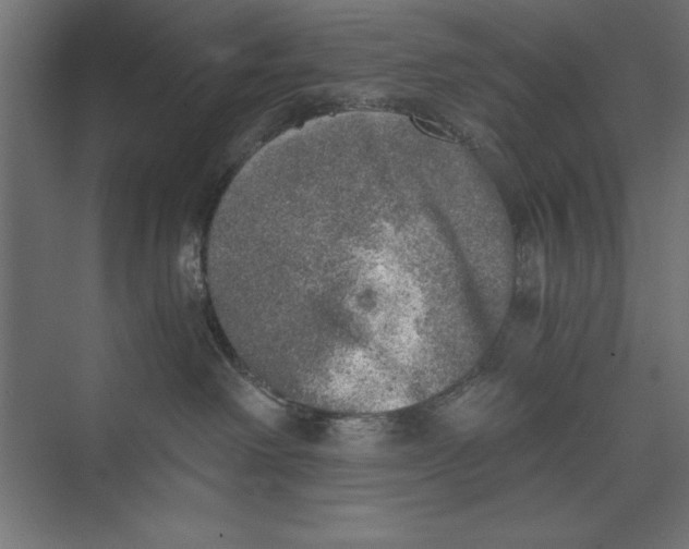 X0000073840238200609071549