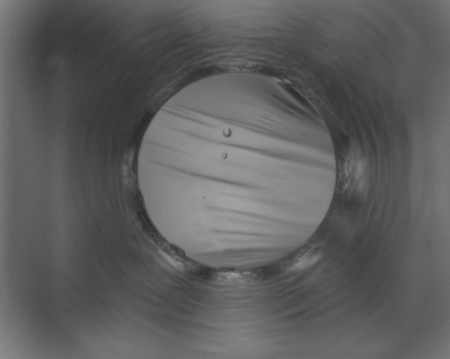 X0000073840239200609071549