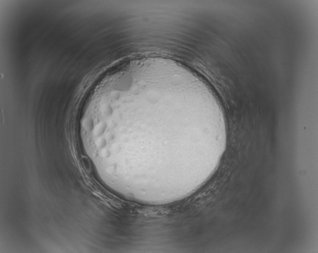 X0000073840241200609071548