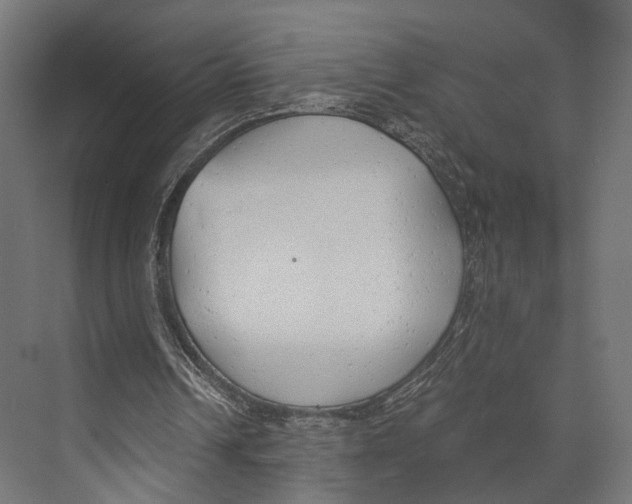 X0000073840242200609071548