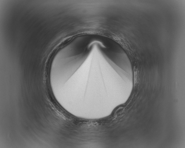 X0000073840243200609071548