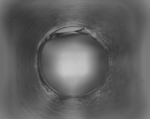 X0000073840244200609071548