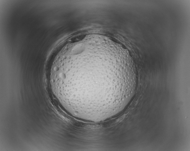 X0000073840245200609071548