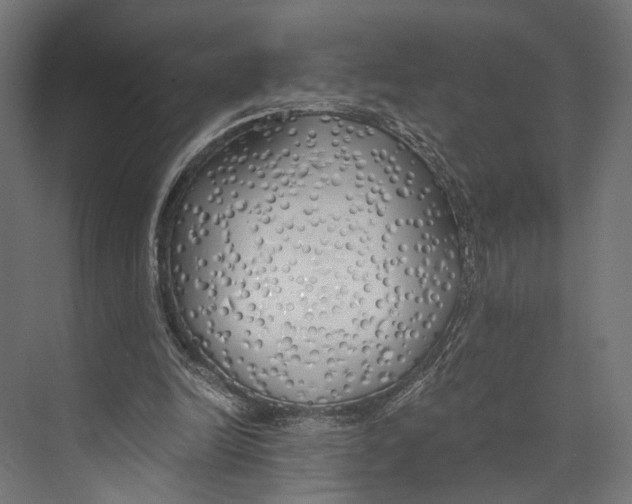 X0000073840246200609071548