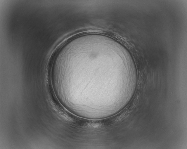 X0000073840247200609071548