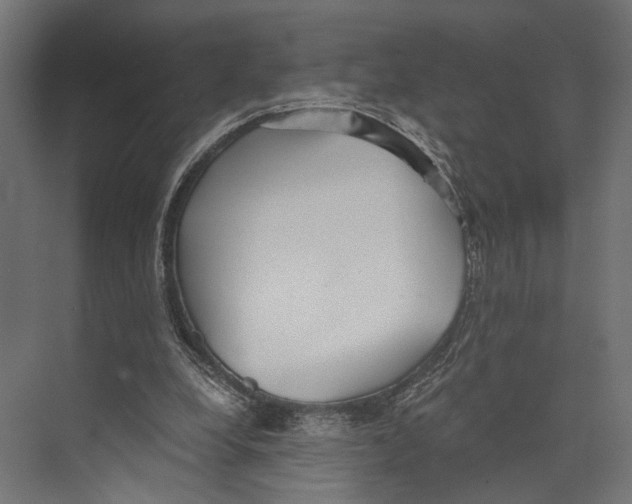 X0000073840248200609071548