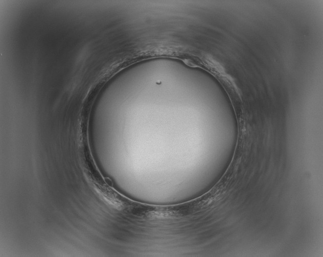 X0000073840250200609071548