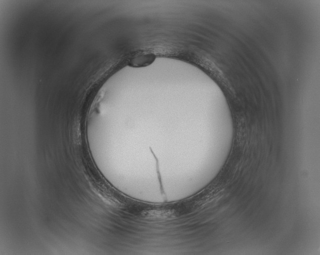 X0000073840251200609071548