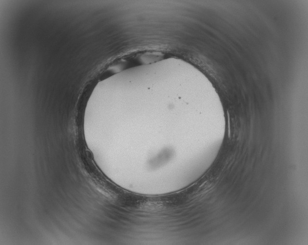 X0000073840252200609071548