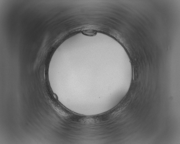 X0000073840253200609071548