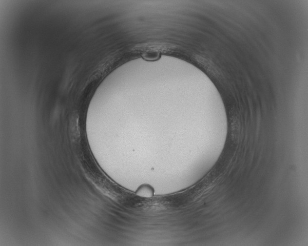 X0000073840254200609071548