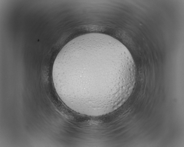 X0000073840255200609071548